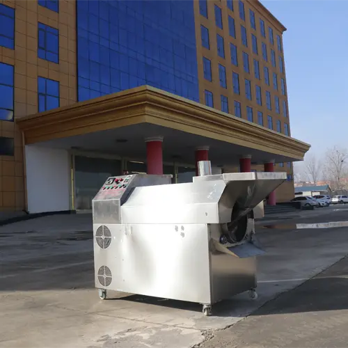 Electromagnetic Roller Roaster