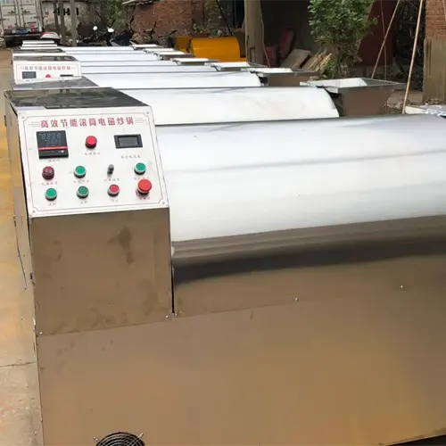 Electromagnetic Roller Roaster