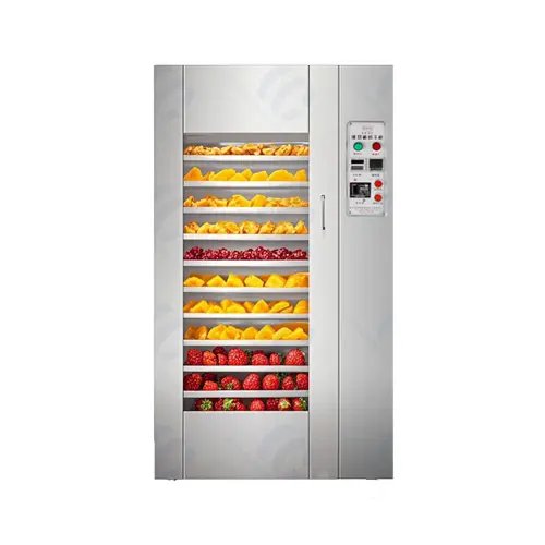 Single Door Dryer Machine