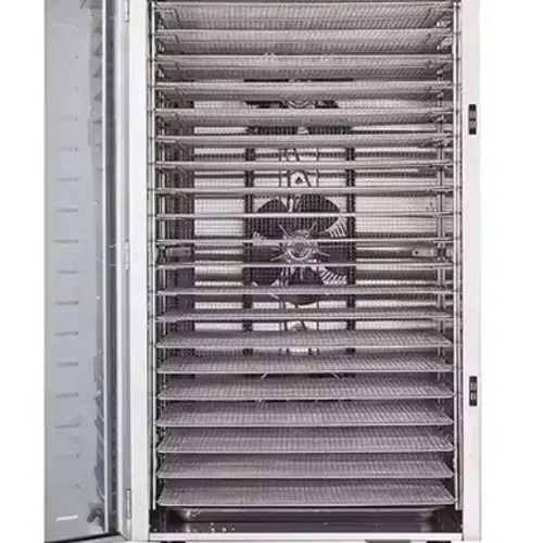 Single Door Dryer Machine