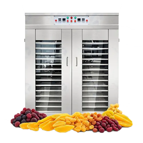 Dual Door Dryer Machine