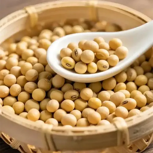 Soybean Soybean