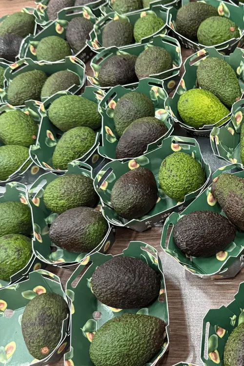 Avocado Oil Avocado Oil