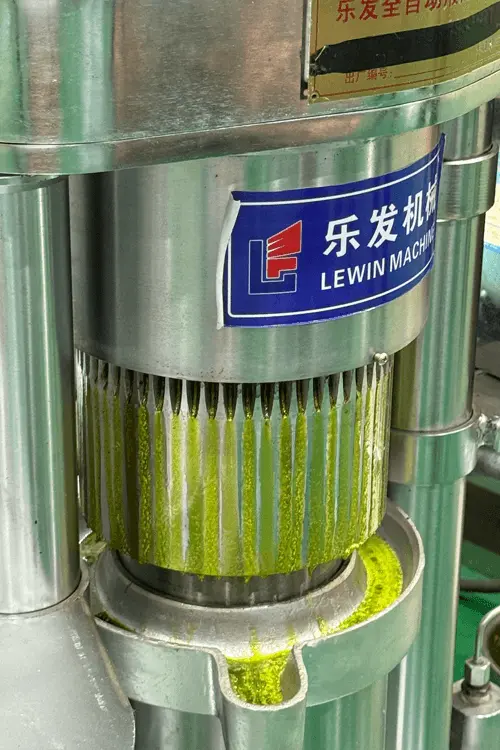 Avocado Oil